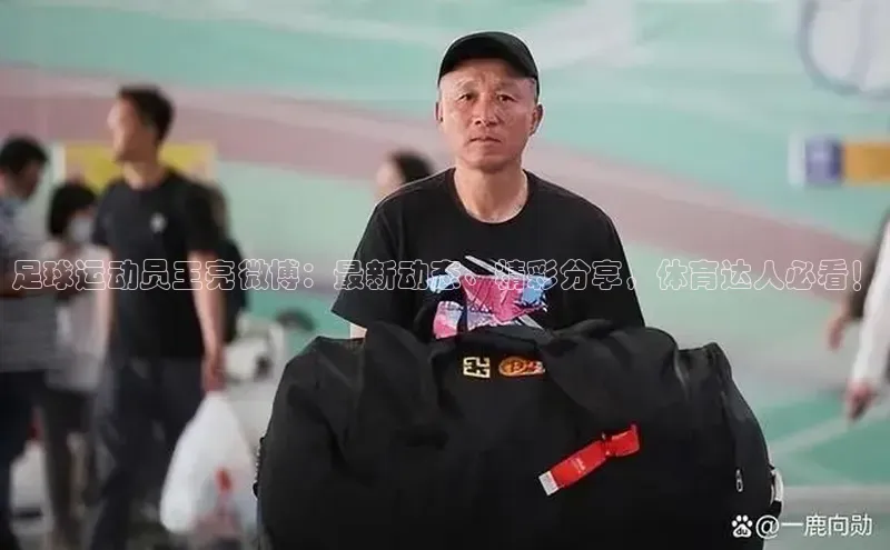 球盟会官方登录平台入口知乎