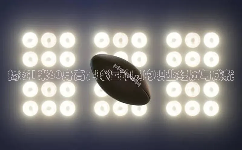 球盟会官网app下载猫眼